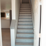 MG_3598-1.webp