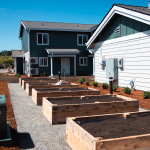 Sunrise planter boxes